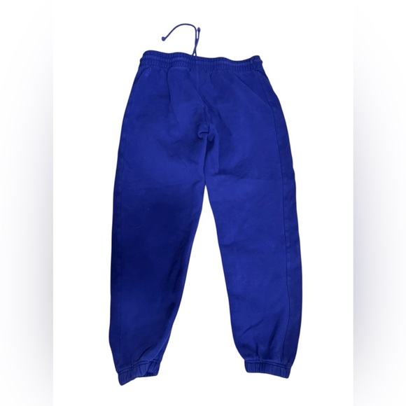 Aritzia Blue Track Pants - Picture 3 of 4